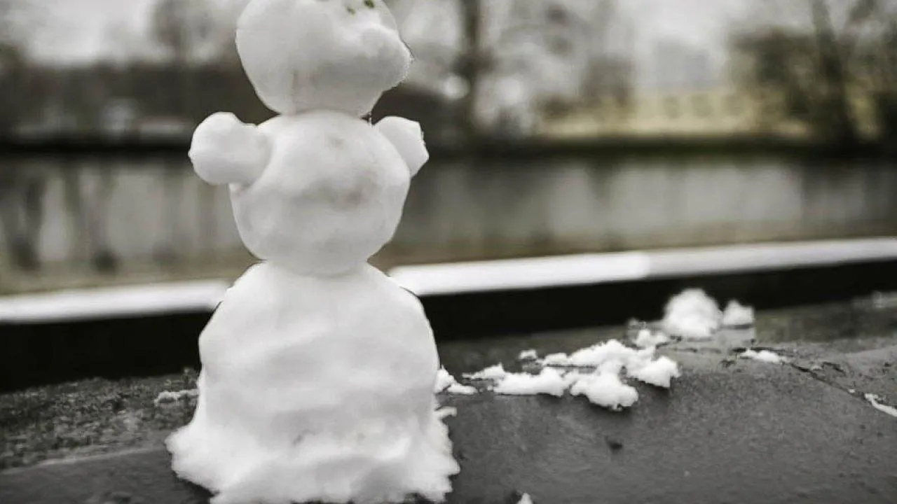 REGIONS/Роман Малышенко