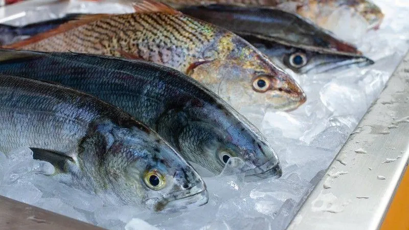 Подмосковье стало лидером в ЦФО по производству продукции из рыбы