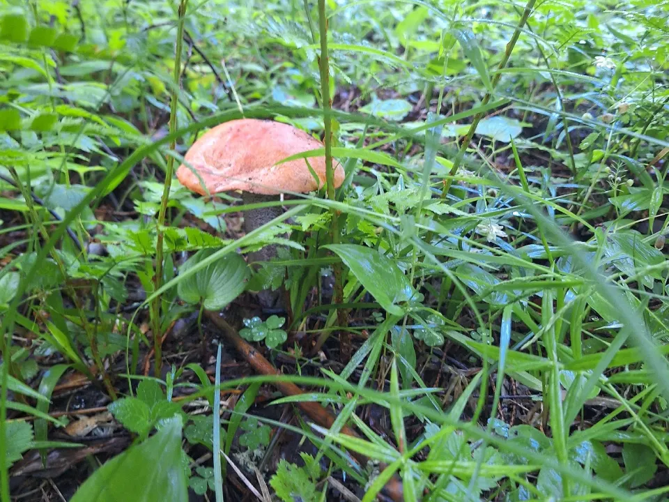 Фото:&nbsp; Елена Федулова