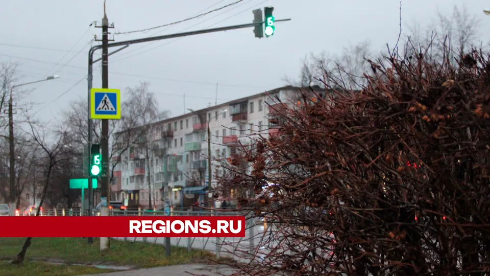 Фото: REGIONS/Василий Тремасов