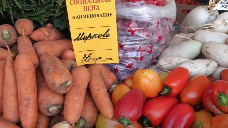 Полсотни «Ценопадных продуктов» представили на ярмарке в Жуковском