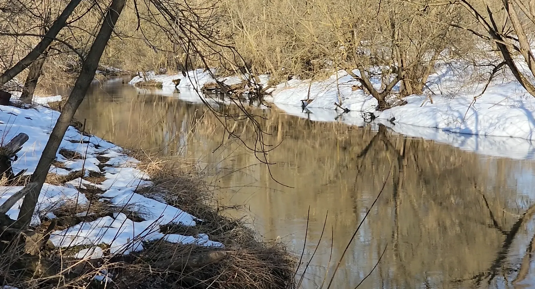 REGIONS/Евгений Рой