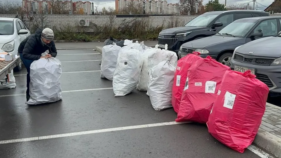 Фото: МедиаБанк Подмосковья/Эдуард Стратонов