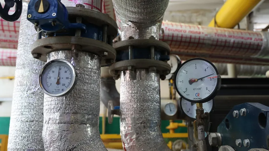 Фото: пресс-служба администрации Волоколамского округа