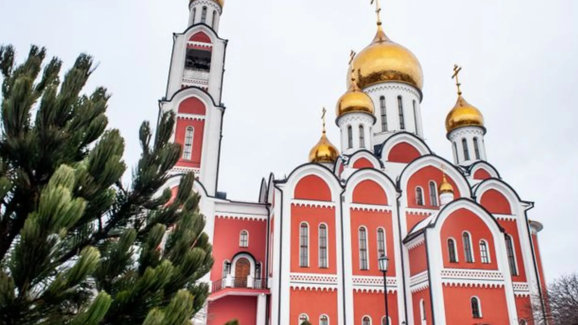 Фото: медиасток.рф