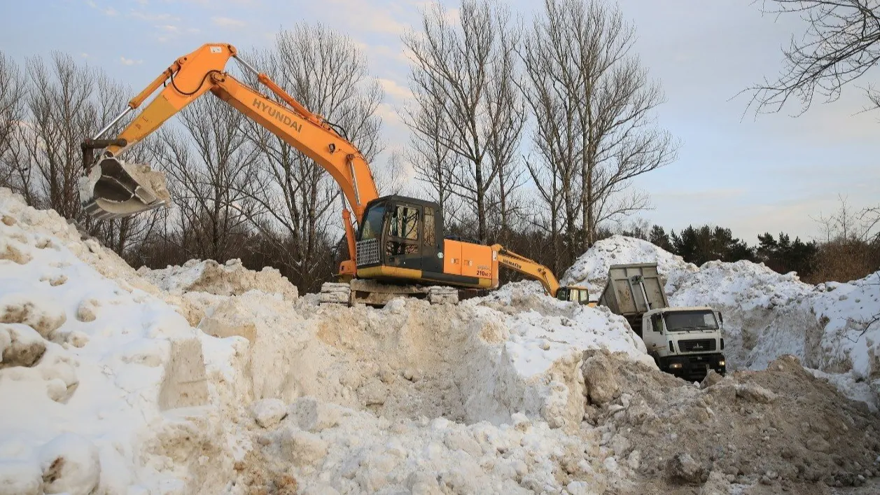 Фото: пресс-служба администрации г.о. Долгопрудный