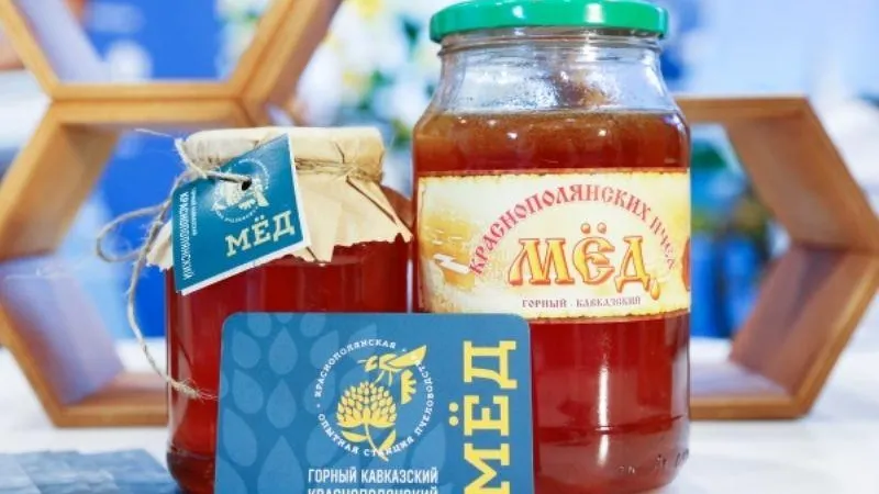 Сергей Кулаков/РИА Новости