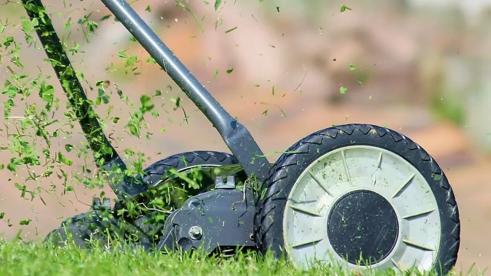 Фото: pxhere.com