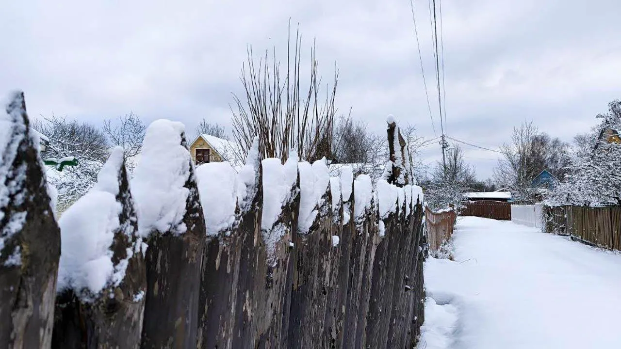 REGIONS/Роман Малышенко