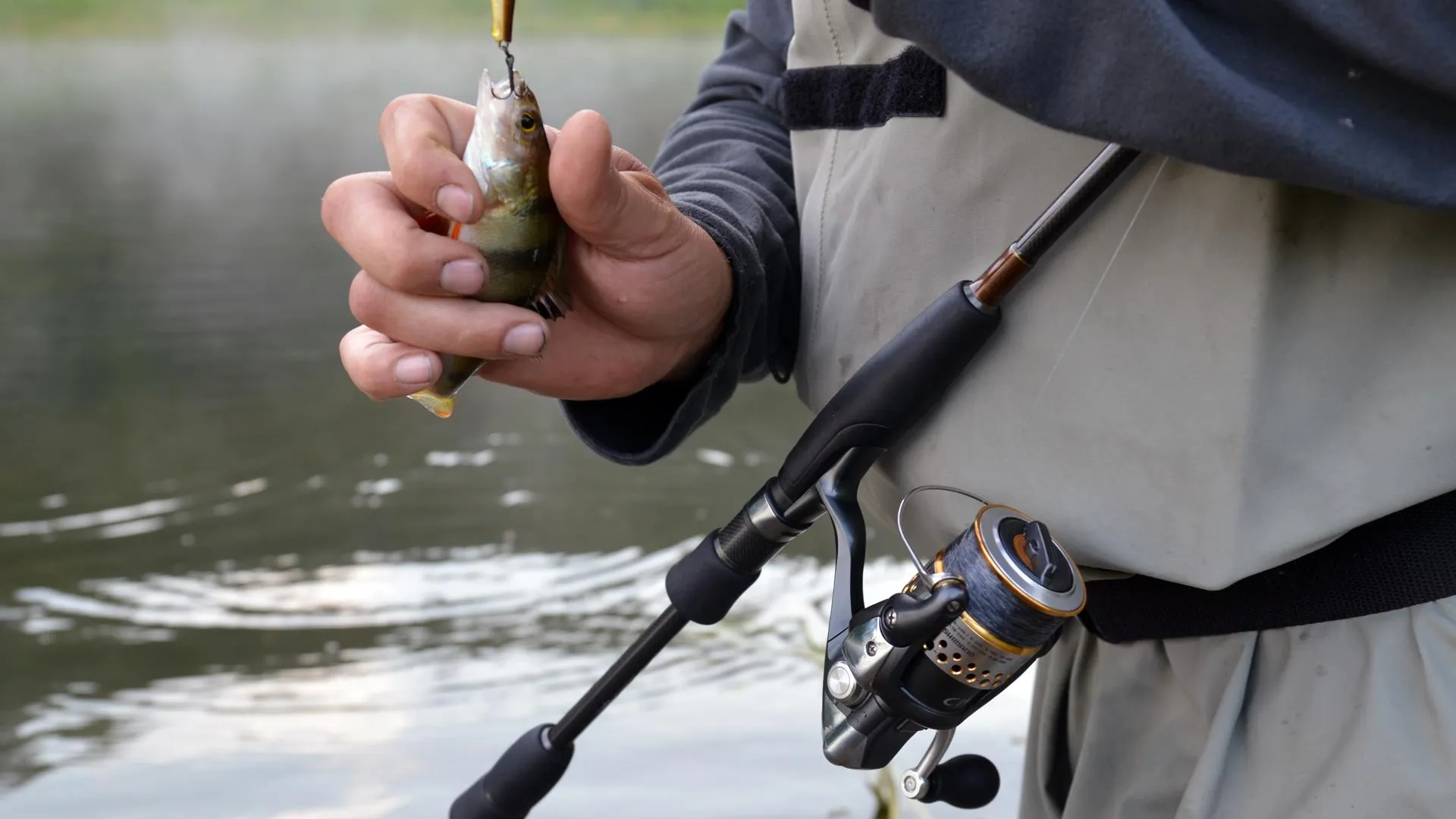 медиасток.рф