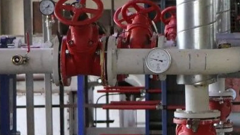 Фото: пресс-служба Администрации г.о. Волоколамск