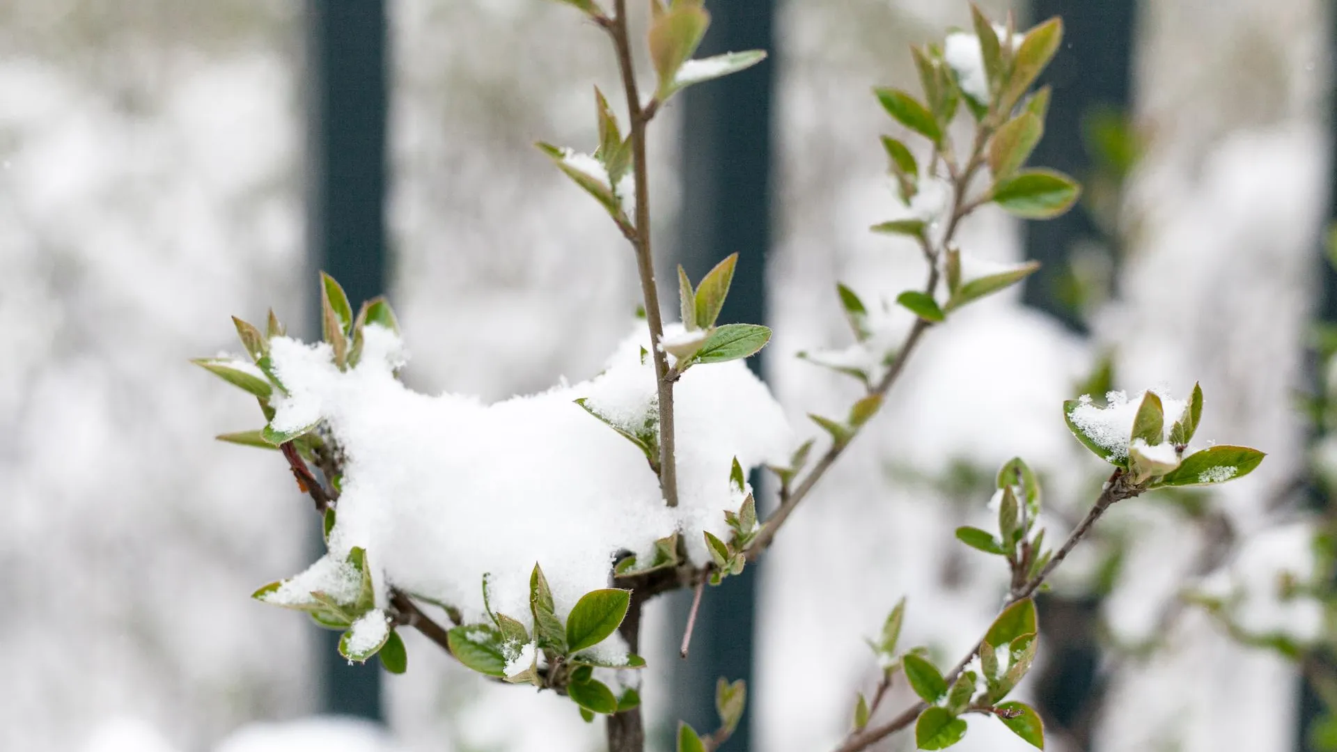 медиасток.рф