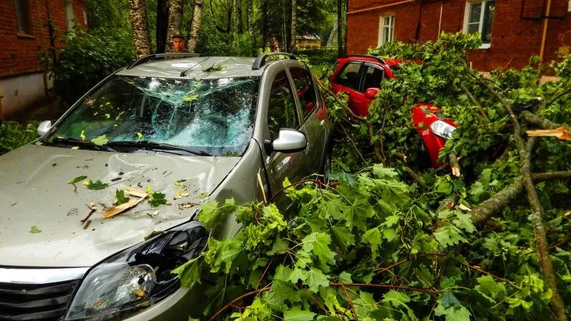 Ураган в Клину-5 повалил деревья, испортил авто и порвал провода