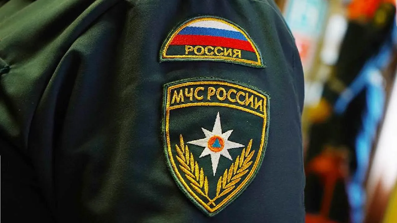 РИА Новости: восемь генералов МЧС, СК и ФСИН освободили от занимаемых должностей
