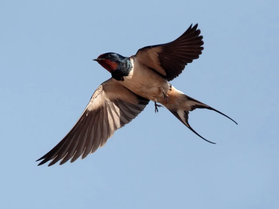 Фото: istockphoto.com