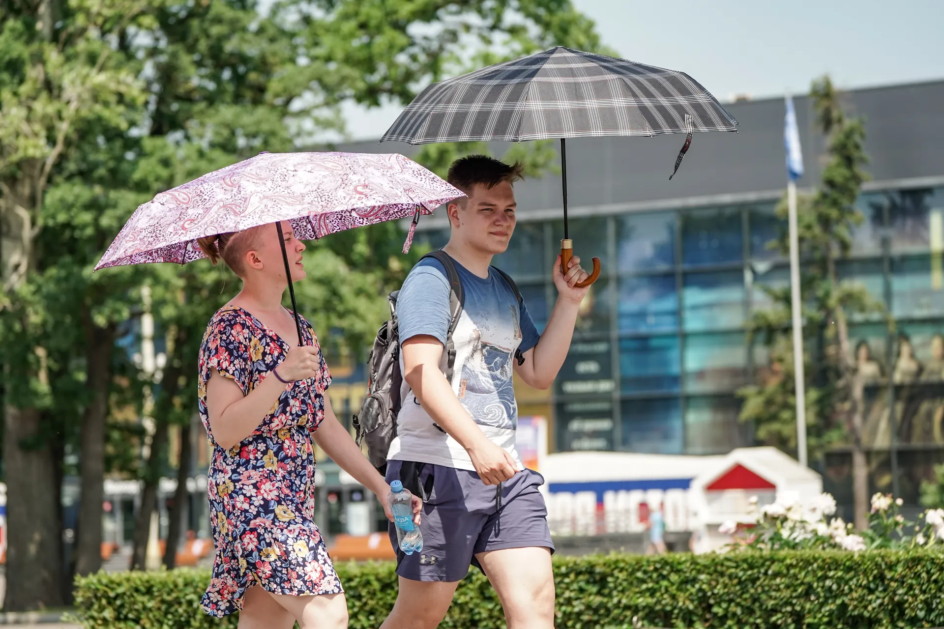 Аномальная жара в Москве