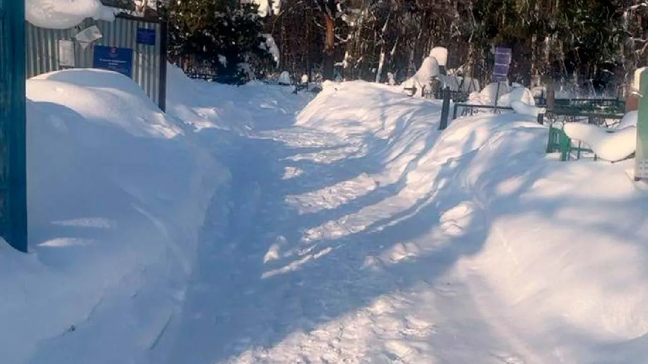 Администрация городского округа Лыткарино