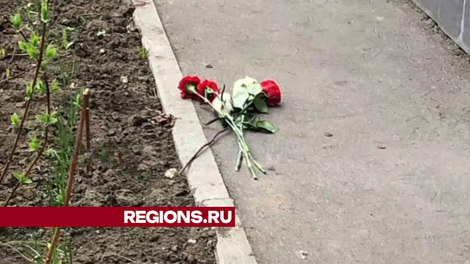 Фото: t.me/samolet_feed