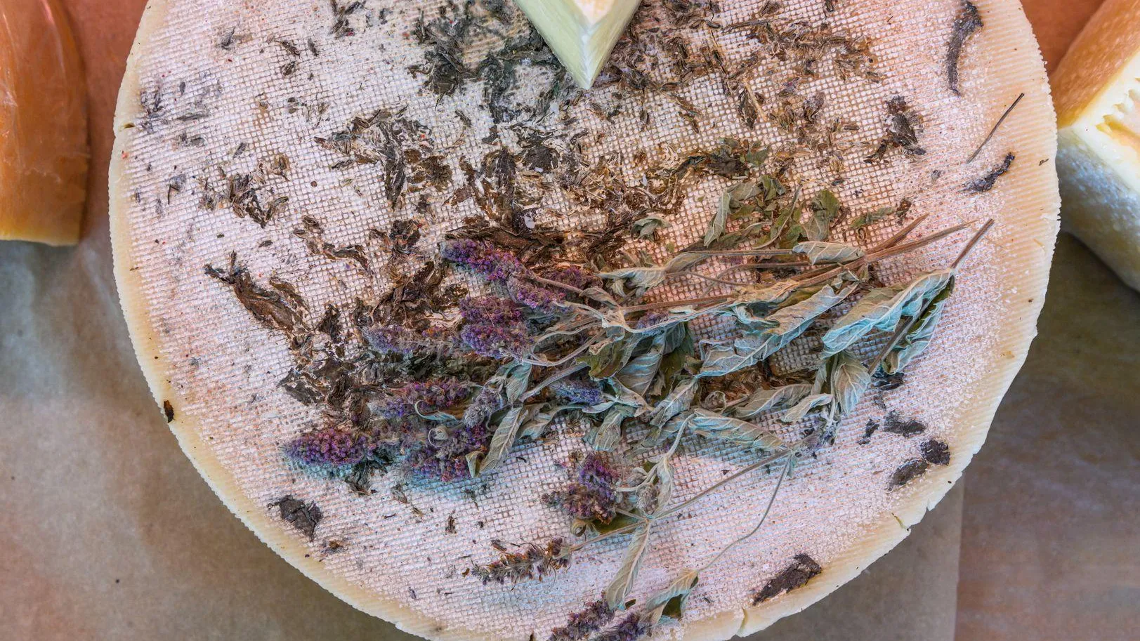 медиасток.рф