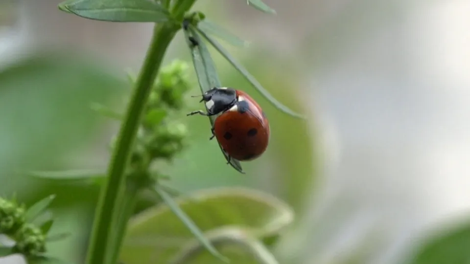 Фото: REGIONS/Наталия Надточая