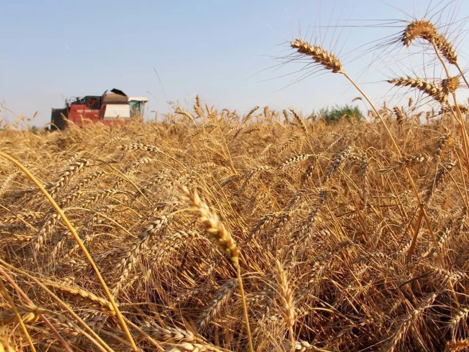 Фото: пресс-служба администрации г.о. Домодедово