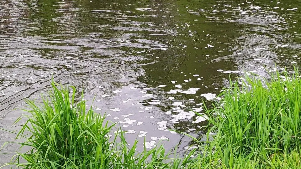 Фото: социальные сети