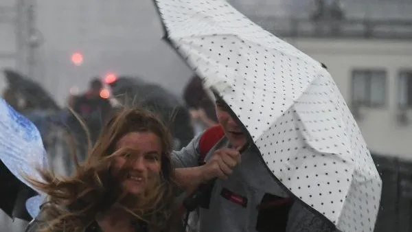 «Желтый» уровень опасности объявили в столичном регионе из-за ветра