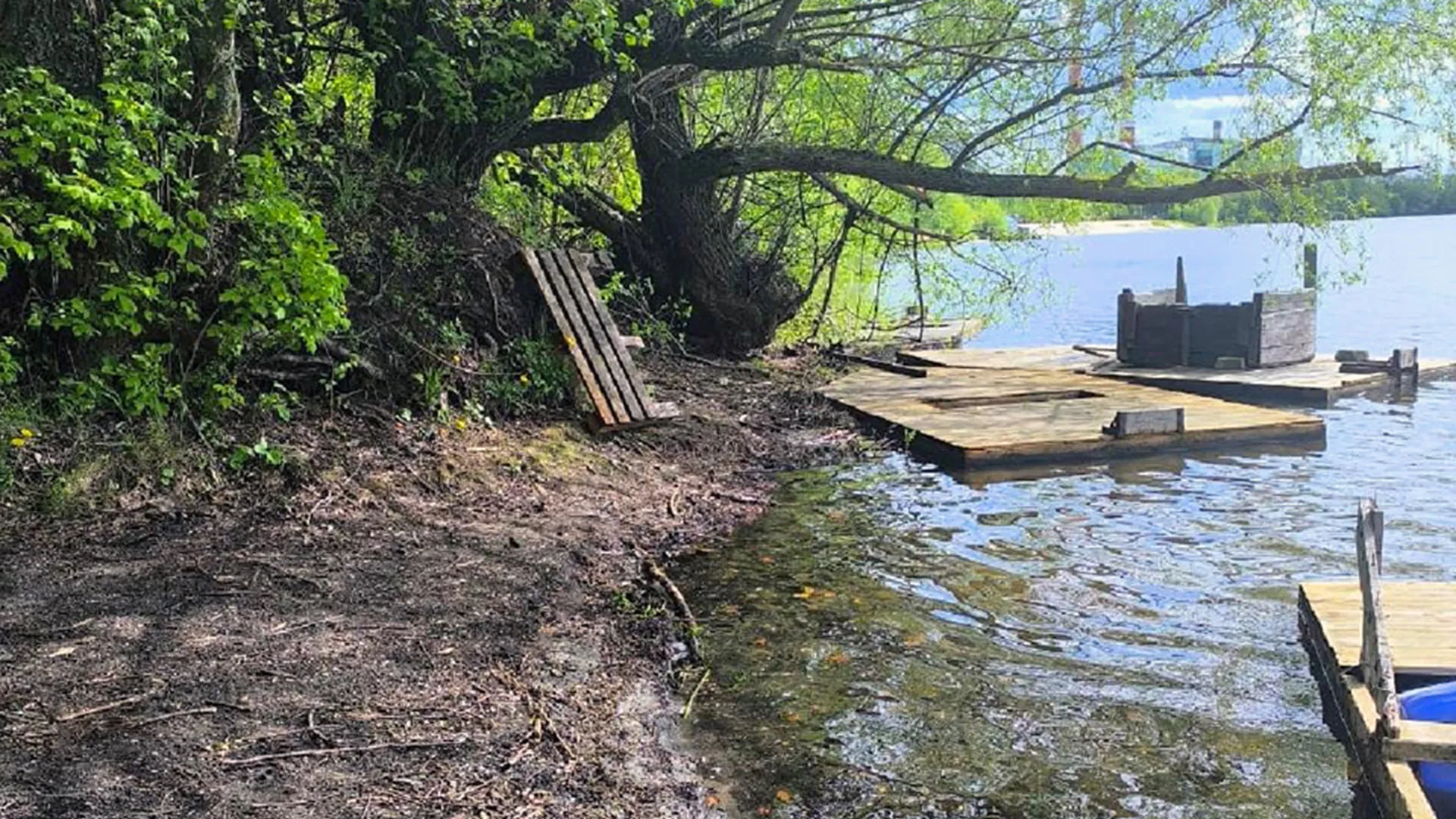 Фото: пресс-служба администрации м.о. Шатура