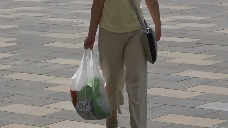 Фото: МедиаБанк Подмосковья/Елена Аботурова