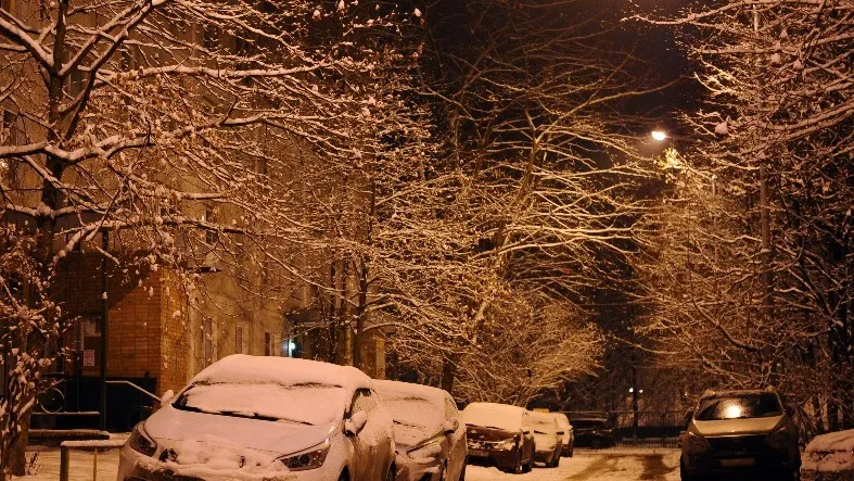 Фото: медиасток.рф