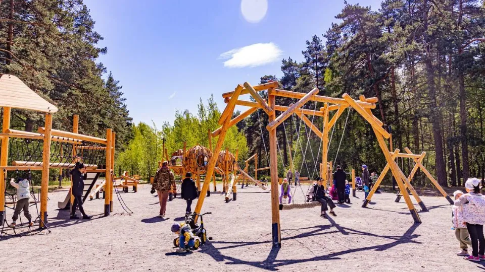 Фото: Министерство благоустройства Московской области