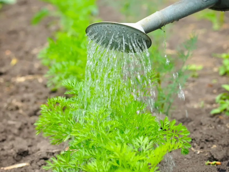 Фото: istockphoto.com