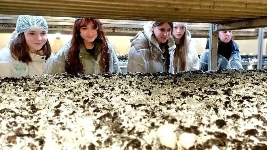 СОШ №7 г. Кашира