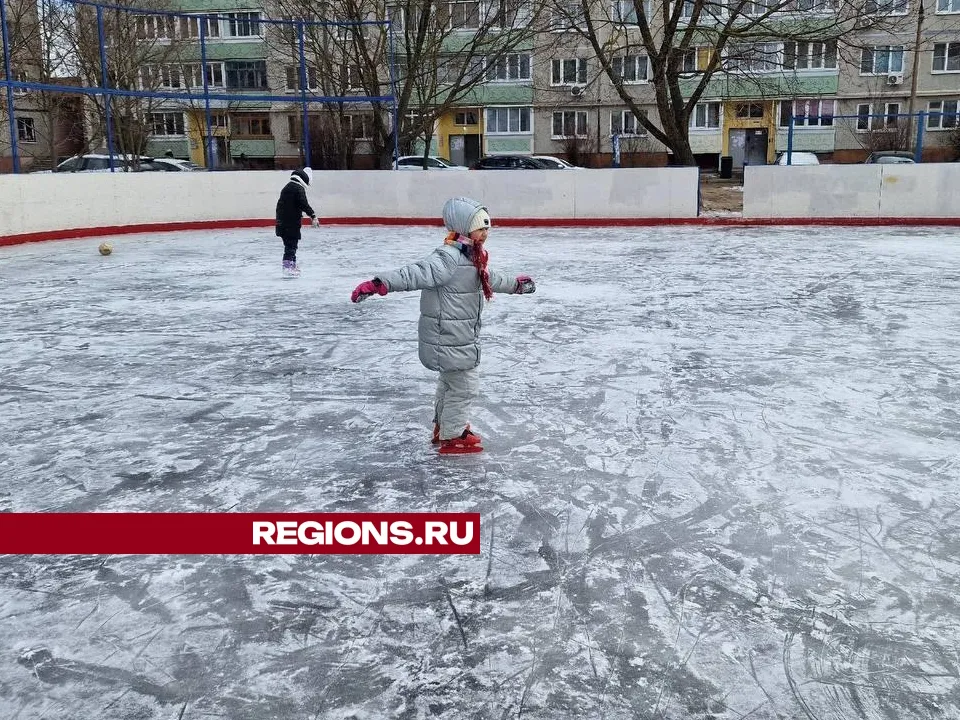 Фото: Светлана Плотникова