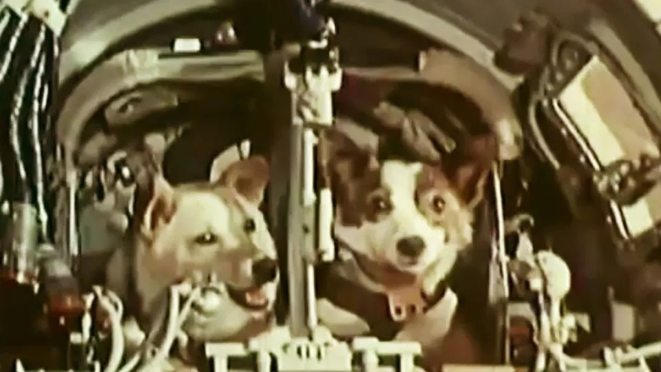 Фото: Роскосмос