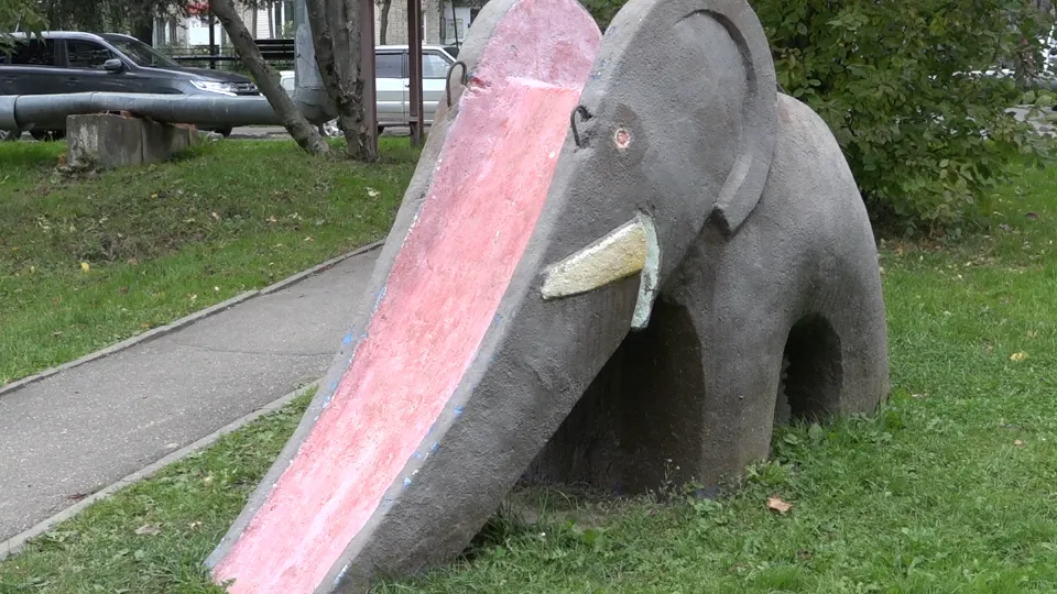 Фото: МедиаБанк Подмосковья/Елена Аботурова