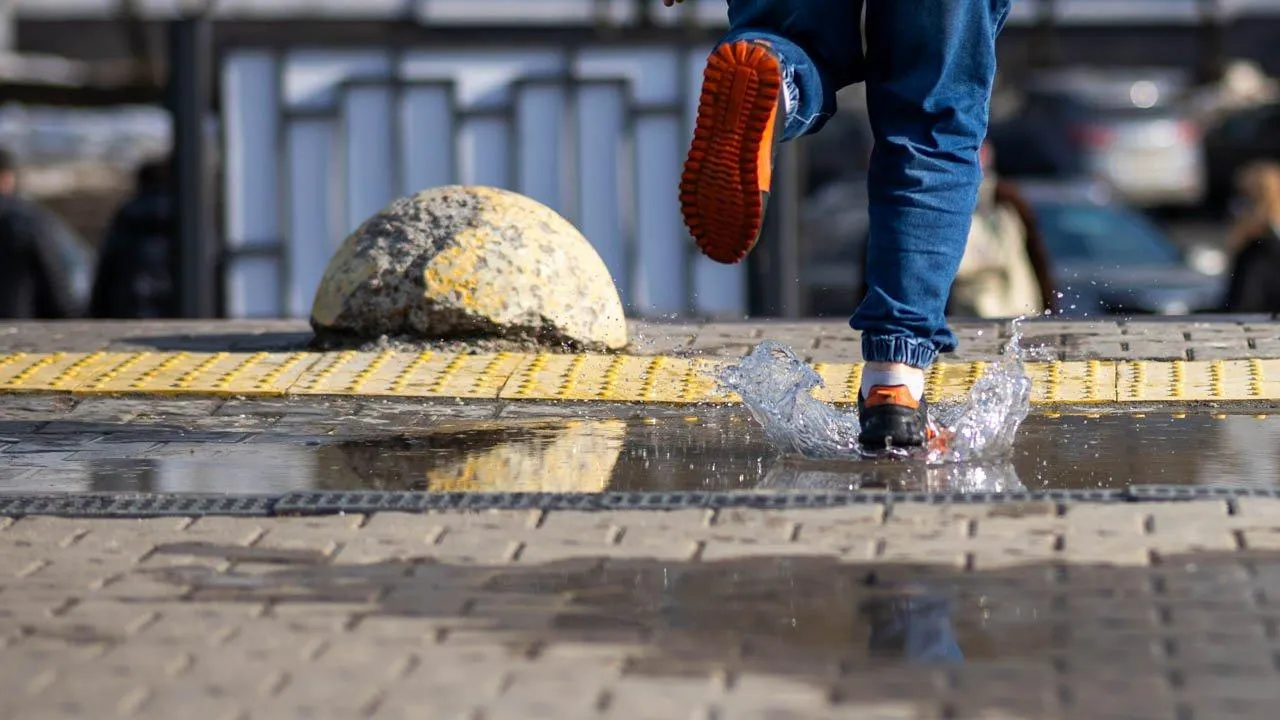 REGIONS/Владимир Ерастов