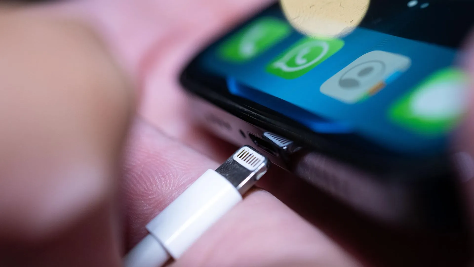 Mohssen Assanimoghaddam/dpa