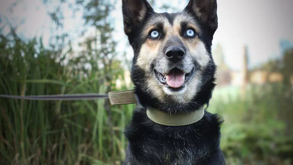 Фото: личный архив Евгении Максимовой