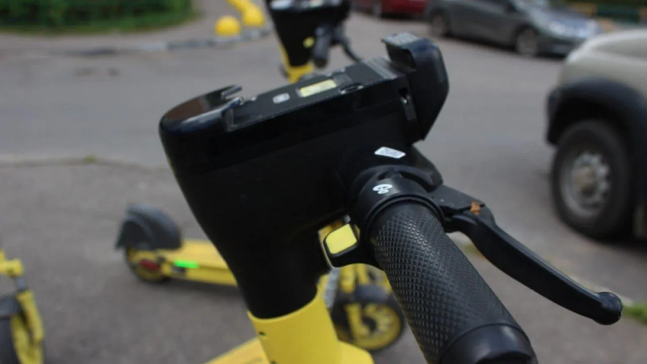 REGIONS/Анастасия Широкая