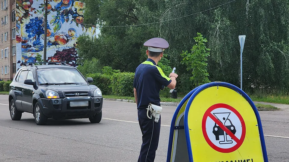 Фото: МедиаБанк Подмосковья/Анастасия Хренкова