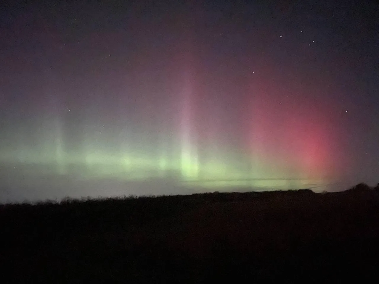 Дарья Леонова