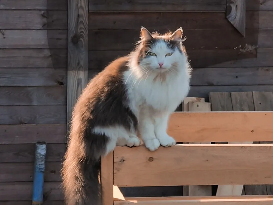 Фото: МедиаБанк Подмосковья/Ольга Антонова