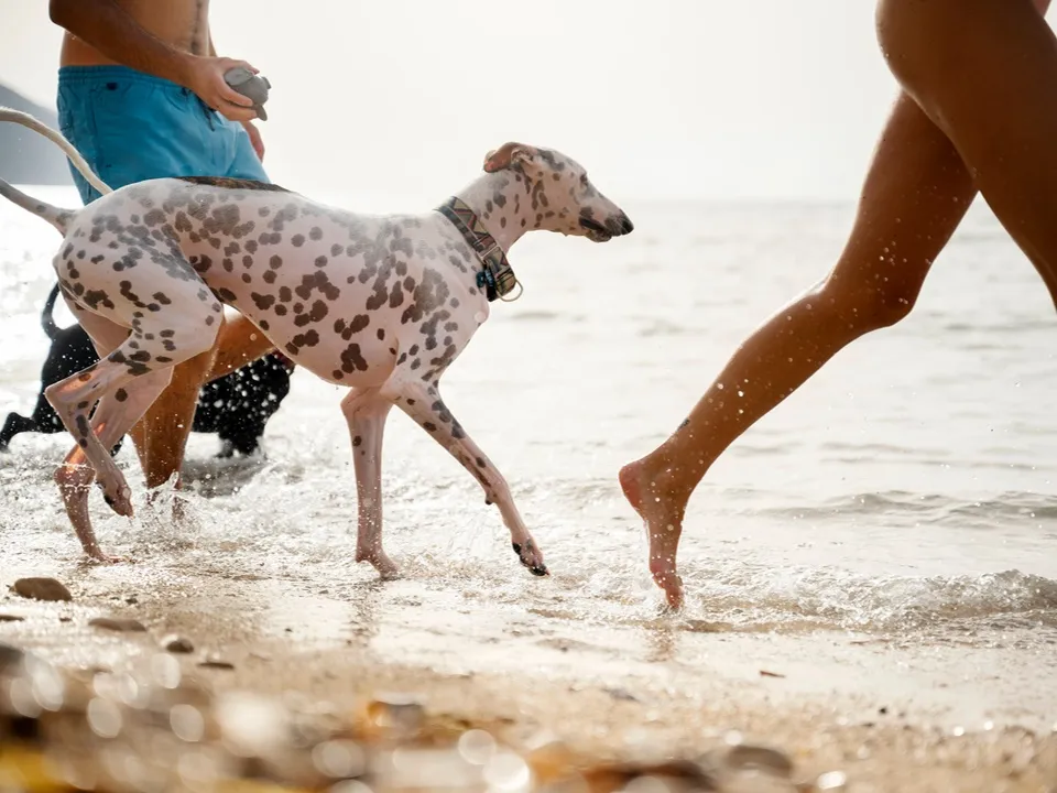 Фото: freepik.com