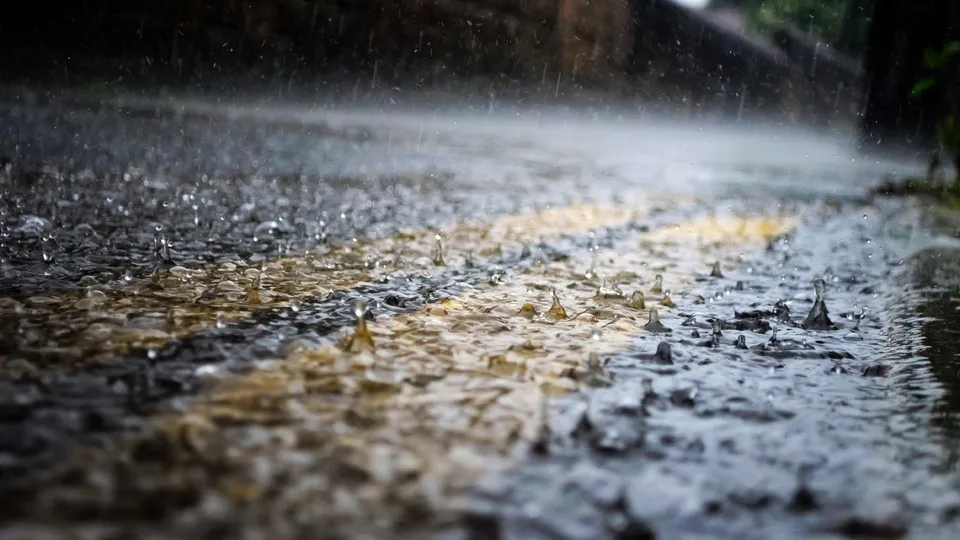 Фото: pxhere.com