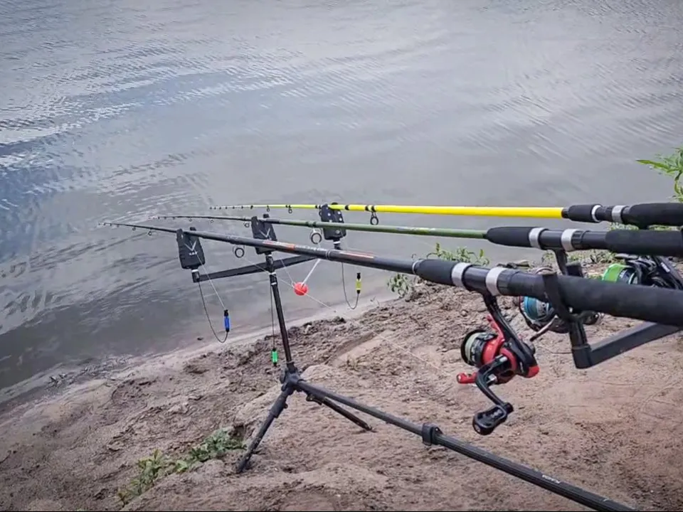 Фото: Ольга Антонова