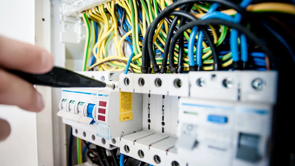 Фото: pxhere.com