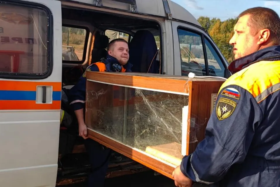 Фото: Мособлпожспас