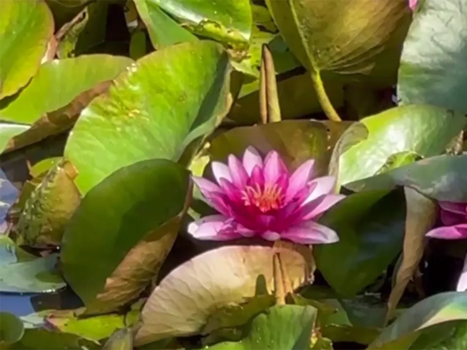 Фото: t.me/artem_sadula