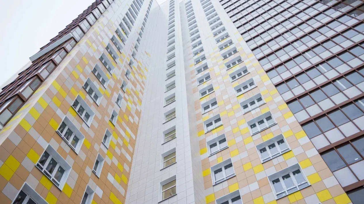 Фото: пресс-служба губернатора Московской области